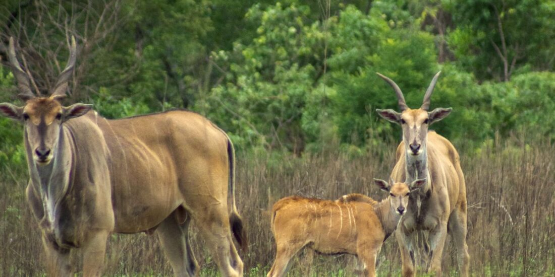 PHOTO-2025-09-04-19-35-14