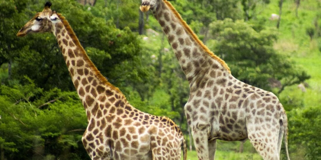 PHOTO-2025-09-04-19-35-16